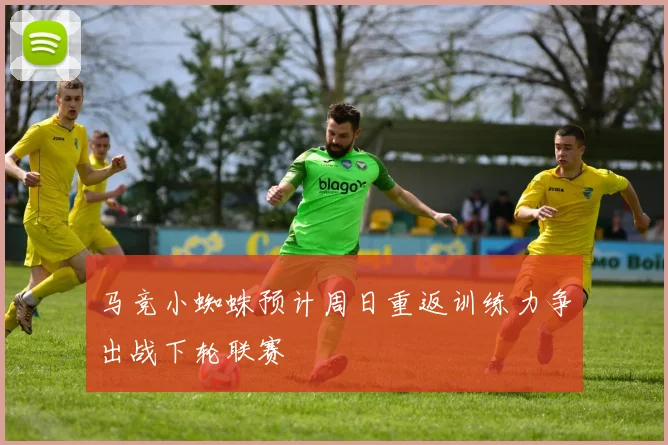 马竞小蜘蛛预计周日重返训练力争出战下轮联赛