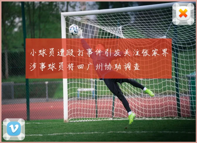 小球员遭殴打事件引发关注张家界涉事球员将回广州协助调查