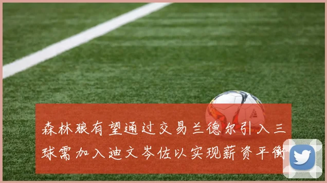 森林狼有望通过交易兰德尔引入三球需加入迪文岑佐以实现薪资平衡